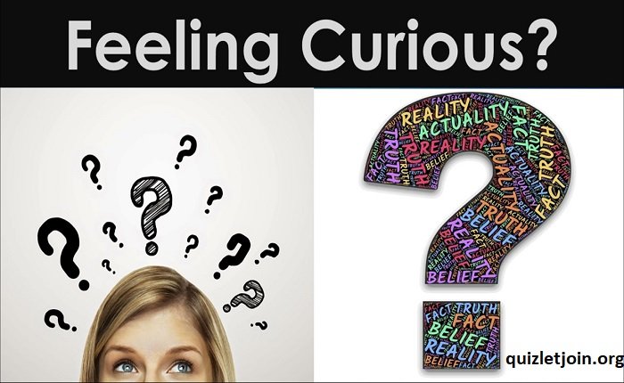 I'm Feeling Curious